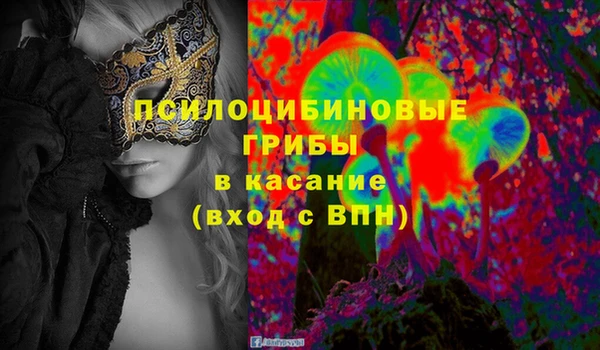 бошки Володарск