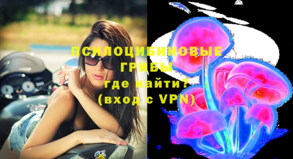 СК Волосово