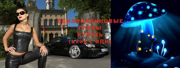 СК Волосово