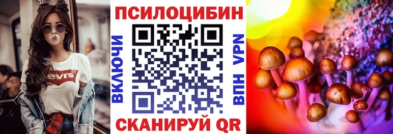 omg вход  Избербаш  Галлюциногенные грибы Psilocybe  купить  